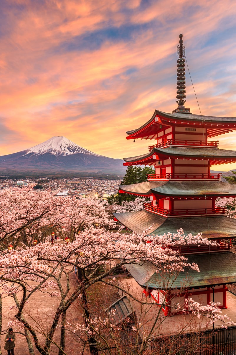 mt fuji and peace pagoda in spring season